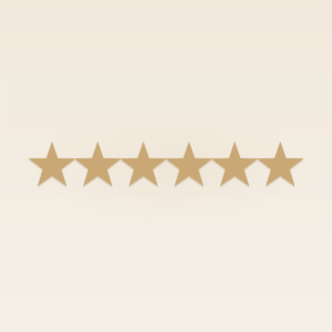 6 gold stars - PlanWillow premium digital planners